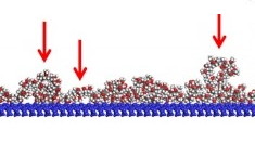 高分子鎖の接着初期素過程の直接観察に成功 | 研究成果 | 九州